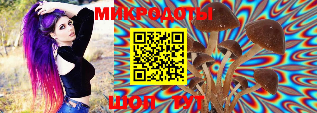 как найти наркотики  Вход с VPN  Петровск  Псилоцибиновые грибы MAGIC MUSHROOMS 